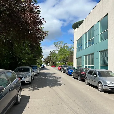 Casa Phoenix Проживание в семье Эфорие Норд