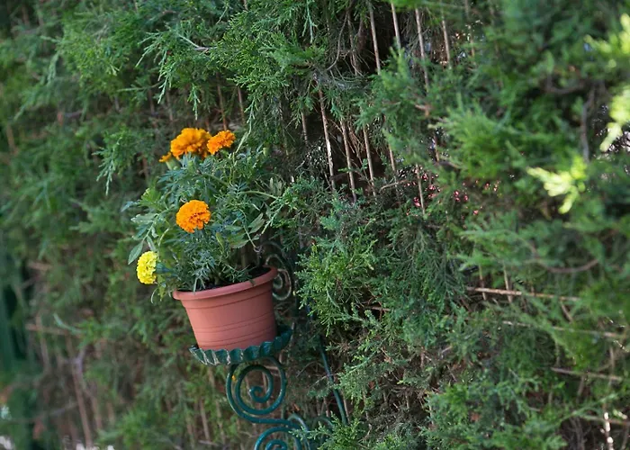 Casa Phoenix Eforie Nord